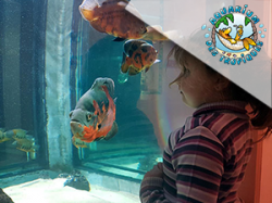 Aquarium des Tropiques - Allex