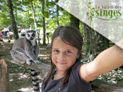 La vallée des singes
