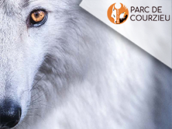 Parc de Courzieu (e-billets)