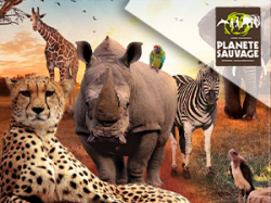 Planete Sauvage (E-Billets)