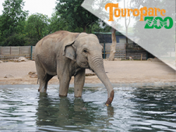 Touroparc Zoo (E-Billets)