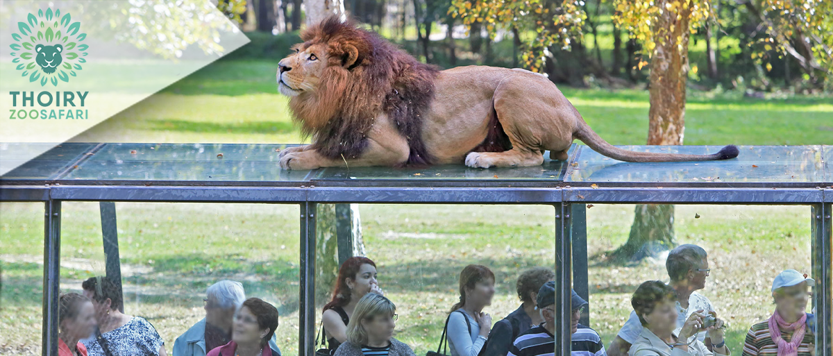 Zoo De Thoiry (E-Billets)